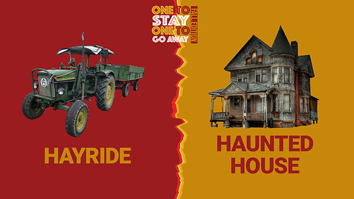 One to Stay, One to Go Away: Fall Edition image number 4